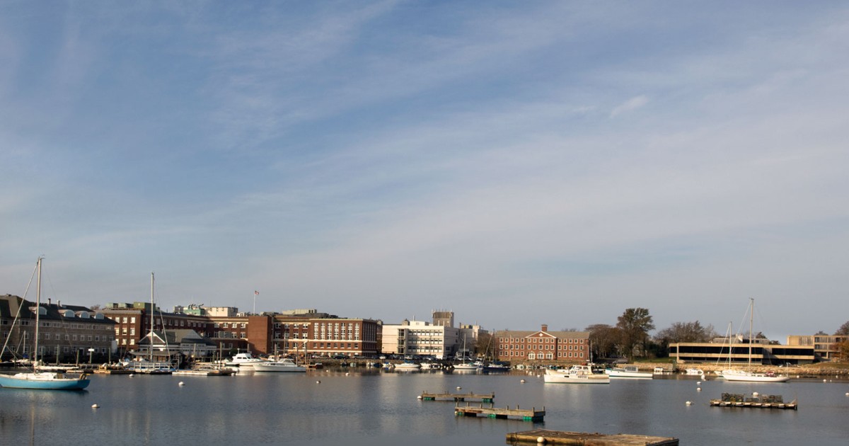 ウッズホール海洋生物学研究所（米国マサチューセッツ州ウッズホール）、撮影2008年、写真：トム・クラインディーンスト 沖縄科学技術大学院